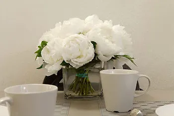 Hotel Windows On Florence